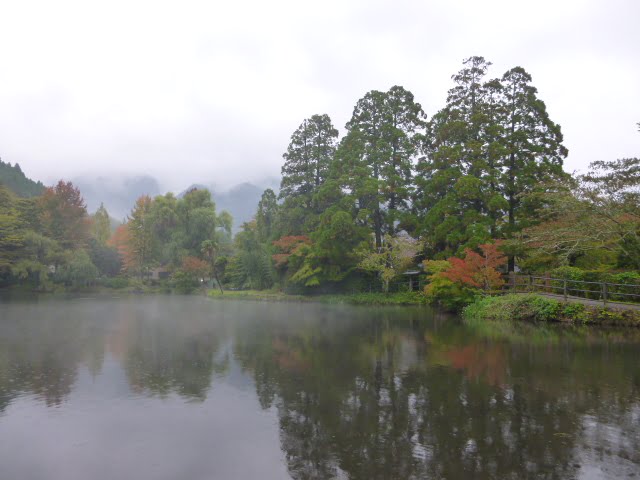 靄が掛かって幻想的な雨の金鱗湖